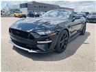 Ford Mustang GT CONVERTIBLE 2019